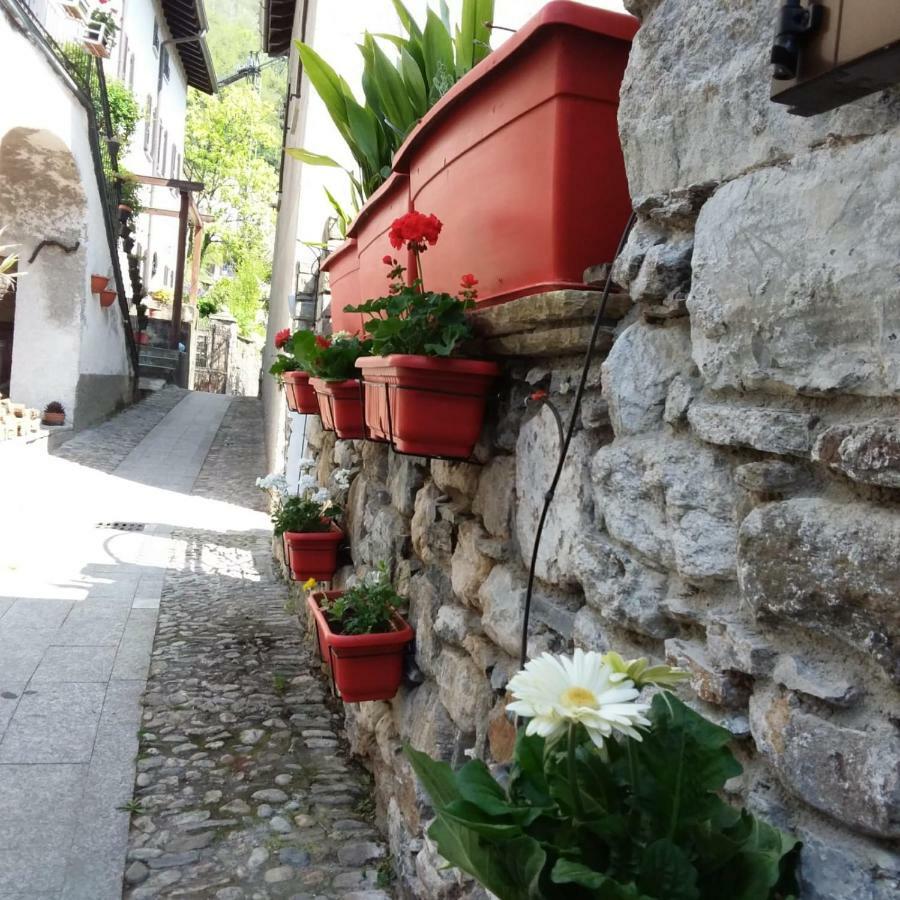 Il Sogno Di Claudia Apartamento Gera Lario Exterior foto