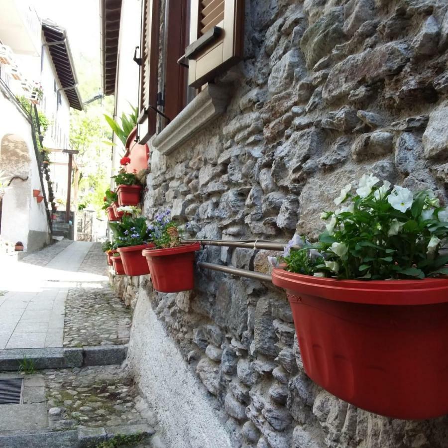 Il Sogno Di Claudia Apartamento Gera Lario Exterior foto